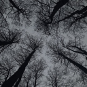 Zendev Shop Discord server icon