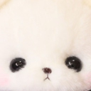 . ˖  ꒰𑁬𝒻𝓁ℴ𝓌ℯ𝓇 𝓈𝓌ℯℯ𝓉 ໒꒱  ˖ .
