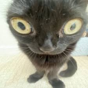 Uncertainty Discord server icon