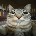 Hangout Discord server icon