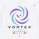 Vortex Team Valorant ESP