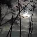 𓂃𓈒࣪˖ ִֶָ౨ৎ𝐌𝐈𝐒𝐓𝐘 𝐇𝐎𝐋𝐋𝐎𝐖ִֶָ☾. ⭑ Discord server icon