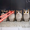 Icone do servidor 🦉˖ 𝐂ʟᴜʙᴇx ᴅᴀ 𝐓ʀᴏᴘɪɴʜᴀ ๋࣭ ⭑