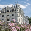 𝜗ৎ 𝘚𝘬𝘺𝘧𝘢𝘭𝘭 𝘜𝘯𝘪𝘷𝘦𝘳𝘴𝘪𝘵𝘺