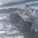 ˚࿔beachwaves Discord server icon