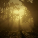 ˚˖𓍢ִ໋❀ Bayou Nwa ⋆˚࿔ Discord server icon