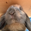 Larry ❤ Bob’s personal space Discord server icon