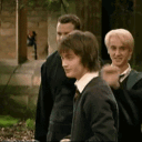 ᴅʀᴀɢᴏɴꜱᴇᴇᴋᴇʀ Discord server icon