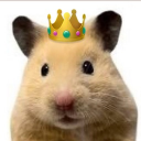 𝖍𝖆𝖒𝖟𝖟𝖎 Shop