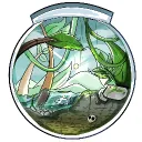 ilshin's terrarium