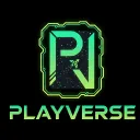 PlayVerse's icon