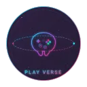 PlayVerse's icon