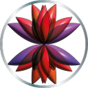 ◈ C◈d◈ing◈Nexus ◈ Discord server icon