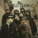 Billi gang🐾 𝜗ৎ𓂃 Discord server icon