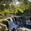 /ʜʏᴇᴊɪ ✨ ʀᴇᴠᴀᴍᴘ Discord server icon