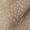 𓆩♱𓆪  Multi-fandom RP & Casual Chat  𓆩♱𓆪 Discord server icon