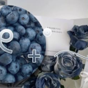 ✨𝓢𝓸𝓬𝓲𝓪𝓵 𝓒𝓸𝓯𝓯𝓮𝓮 𝓗𝓸𝓾𝓼𝓮✨ Discord server icon