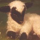 ꉂ.𖥔 ݁ Floral Fields Discord server icon