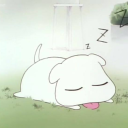 𝕋𝕙𝕖 𝕂𝕙𝕚𝕔𝕙𝕕𝕚 𝕊𝕖𝕣𝕧𝕖𝕣 ✦ Discord server icon