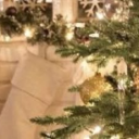 ⋆✧₊ꕤ 𝐆𝐞𝐨𝐒𝐩𝐡𝐞𝐫𝐞 ꕤ₊✧⋆ Discord server icon