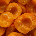 𝒮𝓸𝓵𝒶𝓻𝒾𝒶 ☀ Discord server icon