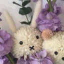 T̷̆̚͝h̷̛̞͗e̵͗́̍͝ ẇ̸̅͋̏î̷̼̓s̸̆̃̈́̚p̵̂͒erin̔͂͘͘g̶͗̓̈̏