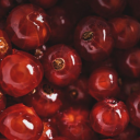 Lucid Dreamscape🌌 Discord server icon