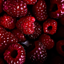 𝐏𝐚𝐜𝐭𝐨𝐩𝐢𝐚 ⋆༺✶༻⋆ Discord server icon