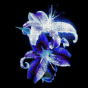 ᴇꜰꜰᴇʀᴠᴇꜱᴄᴇɴᴛ Discord server icon