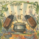 The Drunken Beetle Discord server icon