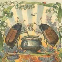 The Drunken Beetle
