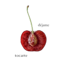 🅱ex’s 𝒌iттεnꜱ ~*💫~ Discord server icon