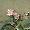 𓆩🜲 CELESTIAL CHRONICLES: MYTHIKIN ✶𓆪 Discord server icon