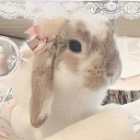 ★Hangout & Chill Spot★ Discord server icon