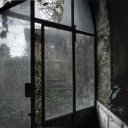 MentalWαrd ✧ Discord server icon