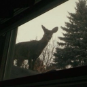 ⁽¹⁸⁺⁾ ⚠ ﹒𝔶𝔢𝔞𝔯 0 Discord server icon