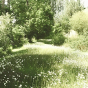 j¡nxᴇd Discord server icon