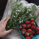 ꧁꧂ 𝘢𝘱𝘱𝘭𝘦 𝘴𝘤𝘳𝘶𝘧𝘧𝘴 ꧁꧂ Discord server icon