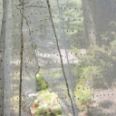 †𝓶𝓸𝓻𝓫𝓲𝓭† Discord server icon