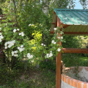 /ヘルプフル Discord server icon