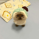 kï𝗍𝗍í𝖿íꜱ𝓱𝓲𐤇 Discord server icon