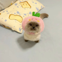 ❖ 𝐂𝐡𝐞𝐞𝐬𝐞 𝐔𝐧𝐢𝐯𝐞𝐫𝐬𝐞 ❖ Discord server icon