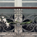 𝐆𝕠𝒹𝓱𝓪𝓷𝓭🌟 Discord server icon