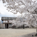 ✨ 𝓟𝓪𝓷𝓭𝓪𝓶𝓸𝓷𝓲𝓾𝓶 𝓒𝓻𝓮𝔀: 𝓖𝓪𝓶𝓲𝓷𝓰 & 𝓢𝓸𝓬𝓲𝓪𝓵 𝓗𝓾𝓫 ✨ Discord server icon