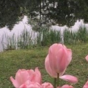 /fᴇᴇᴛcᴏʀᴅ >⩊< Discord server icon