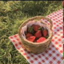 📚 Bound By Books ✨ Discord server icon