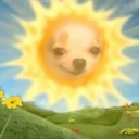 𝚃𝚑𝚎 𝚂𝚎𝚋𝚊𝚜𝚝𝚒𝚊𝚗 𝚂𝚝𝚊𝚗 𝙷𝚞𝚋 ✦ Discord server icon