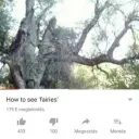 𝚑𝚊𝚣𝚎⁕