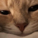 Zi✨Sanctuary✨ Discord server icon