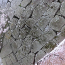 LéßαOui Discord server icon